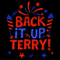 Back It Up Terry Put It In Reverse 4th Of July Fireworks 16oz Travel Tumbler