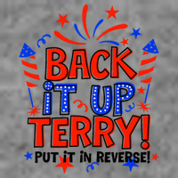Back It Up Terry Put It In Reverse 4th Of July Fireworks 7-Panel Snapback Hat