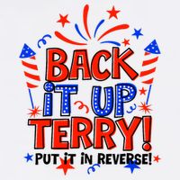 Back It Up Terry Put It In Reverse 4th Of July Fireworks Cool Comfort Performance Bucket Hat