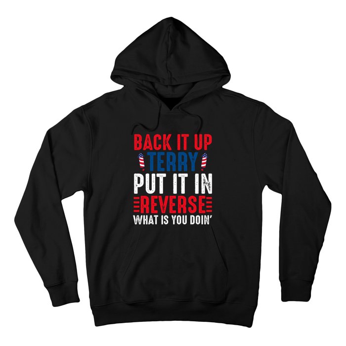 Back It Up Terry Put It In Reverse July 4th Fireworks Terry Hoodie