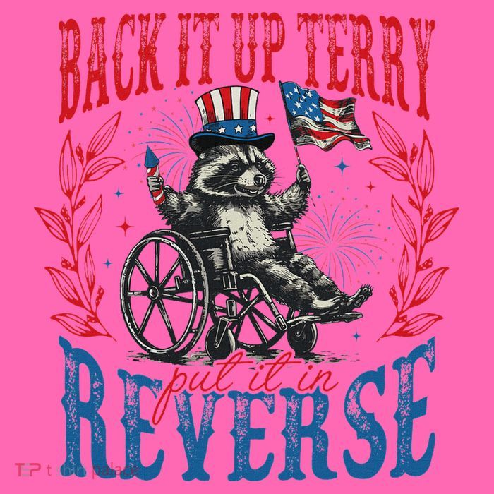 Back It Up Terry Put It In Reverse Funny Racoon 4th Of July Stripe Pom Pom Beanie