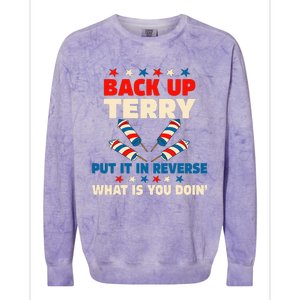 Back it Up Terry Put It In Reverse July 4th Fireworks Terry Colorblast Crewneck Sweatshirt