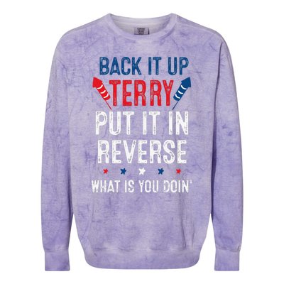 Back It Up Terry Put It In Reverse Fireworks Fun 4th Of July Colorblast Crewneck Sweatshirt