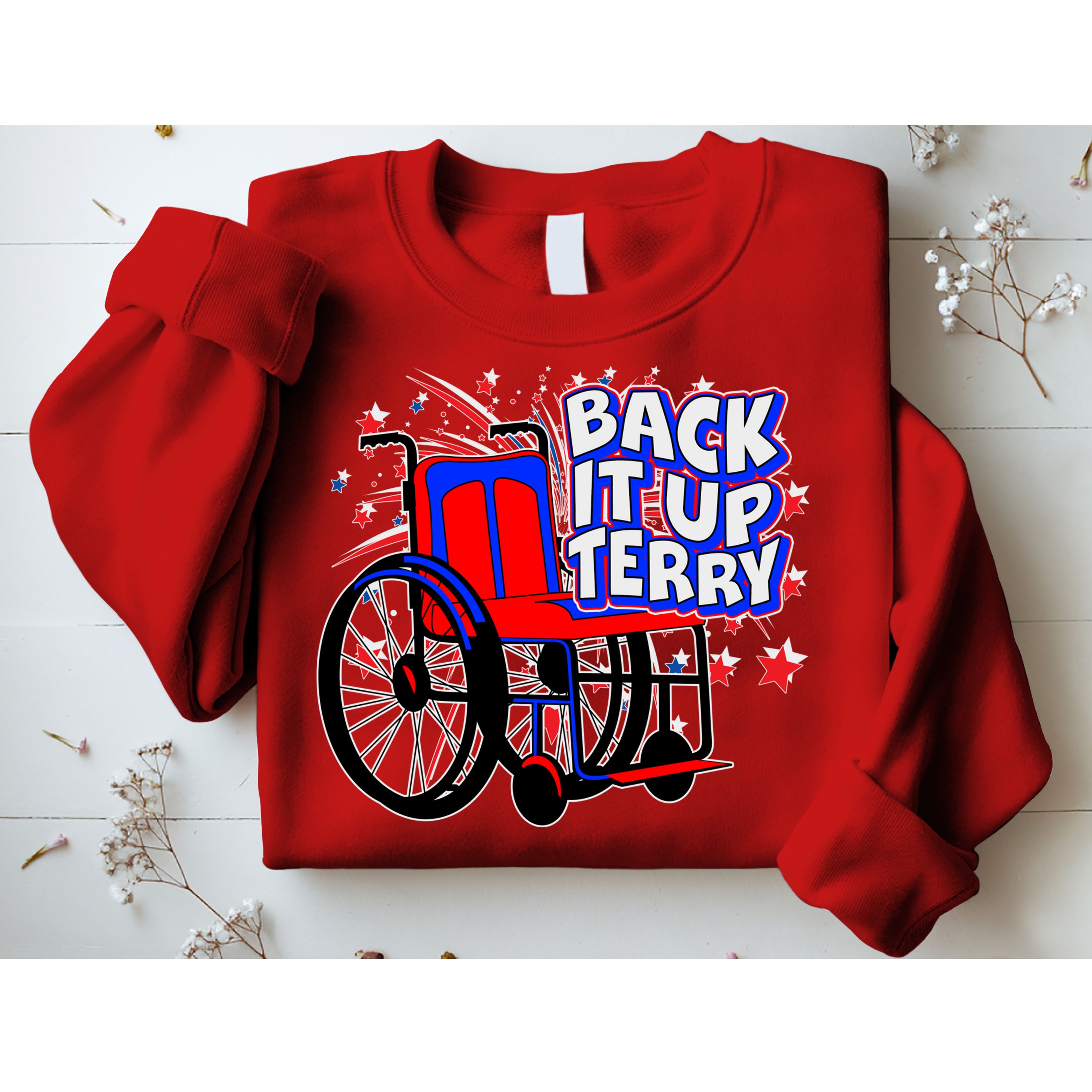 Back It Up Terry Fireworks Wheelchair Sweatshirt