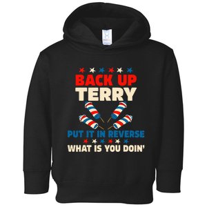 Back It Up Terry Put It In Reverse July 4th Fireworks Terry Toddler Hoodie