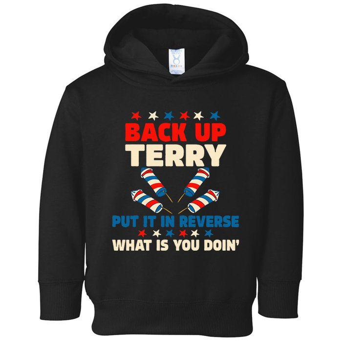 Back It Up Terry Put It In Reverse July 4th Fireworks Terry Toddler Hoodie