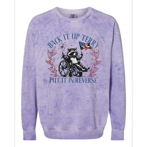 Back It Up Terry Retro 4th Of July Colorblast Crewneck Sweatshirt