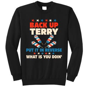 Back It Up Terry Put It In Reverse July 4th Fireworks Terry Sweatshirt