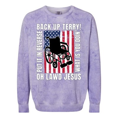 Back It Up Terry 4th Of July Meme Put It In Reverse Usa Flag Gift Colorblast Crewneck Sweatshirt