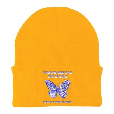 Butterfly I Wear Periwinkle For My Mama Stomach Cancer Gift Knit Cap Winter Beanie