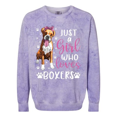 Boxer Just A Girl Who Loves Boxers Dogs Lover Girl Gift Colorblast Crewneck Sweatshirt