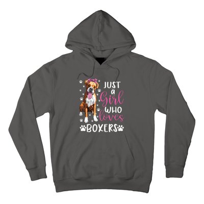 Boxer Just A Girl Who Loves Boxers Dogs Lover Girl Gift Hoodie