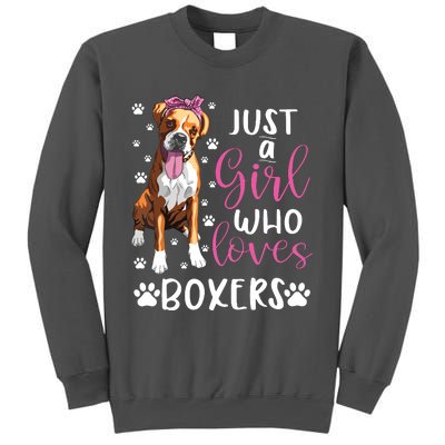 Boxer Just A Girl Who Loves Boxers Dogs Lover Girl Gift Tall Sweatshirt