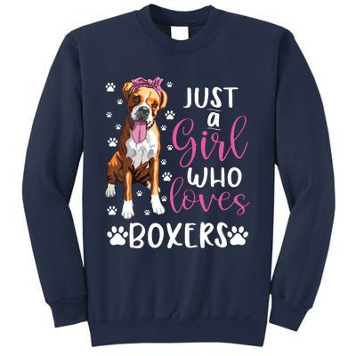 Boxer Just A Girl Who Loves Boxers Dogs Lover Girl Gift Sweatshirt