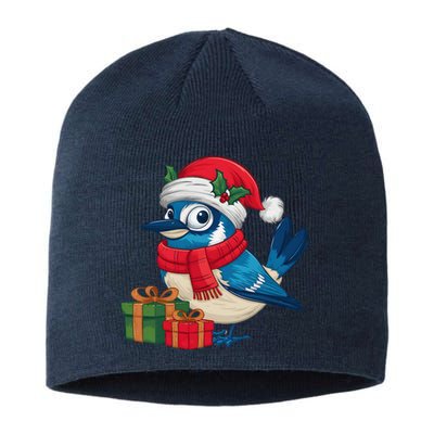 Blue Jay Bird Lover Xmas Holiday Santa Blue Jay Christmas Sustainable Beanie