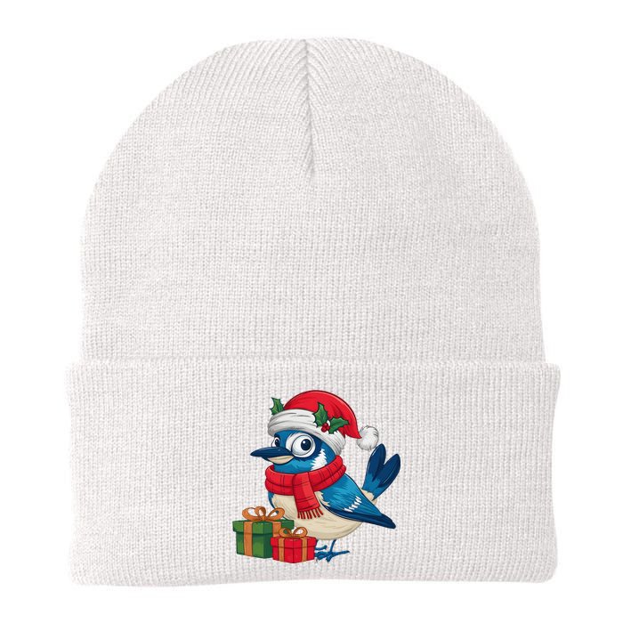 Blue Jay Bird Lover Xmas Holiday Santa Blue Jay Christmas Knit Cap Winter Beanie