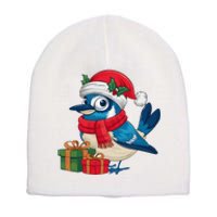 Blue Jay Bird Lover Xmas Holiday Santa Blue Jay Christmas Short Acrylic Beanie