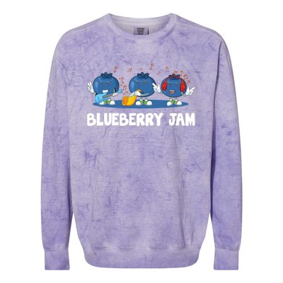 Blueberry Jam Blueberries Partying Funny Blueberry Lover Gift Colorblast Crewneck Sweatshirt