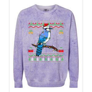 Blue Jay Bird Christmas Lights Santa Ugly Xmas Gift Colorblast Crewneck Sweatshirt