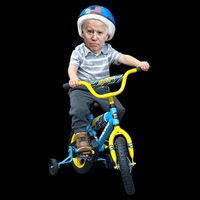 Baby Joe Biden On Tricycle Funny Joe Biden Bike 16 in Basic Backpack