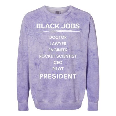 Black Jobs Doctor Lawyer Engineer Rocket Scientist Ceo Pilot Colorblast Crewneck Sweatshirt