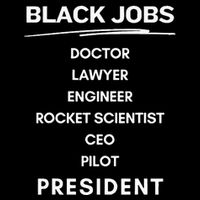 Black Jobs Doctor Lawyer Engineer Rocket Scientist Ceo Pilot Flatbill Hat