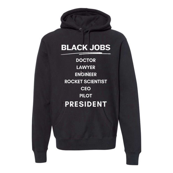 Black Jobs Doctor Lawyer Engineer Rocket Scientist Ceo Pilot Premium Hoodie