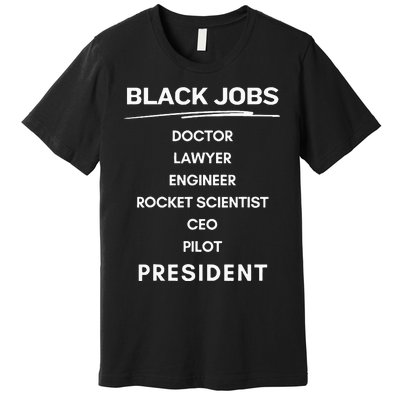 Black Jobs Doctor Lawyer Engineer Rocket Scientist Ceo Pilot Premium T-Shirt