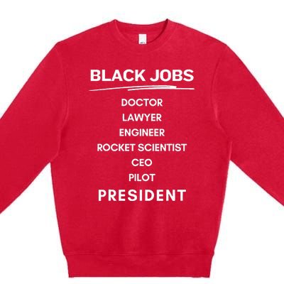 Black Jobs Doctor Lawyer Engineer Rocket Scientist Ceo Pilot Premium Crewneck Sweatshirt