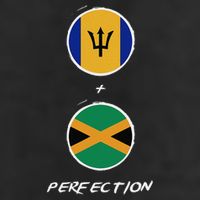 Barbados Jamaica Flag Perfection Bajan Barbadian Jamaican Adult Drive Performance Visor