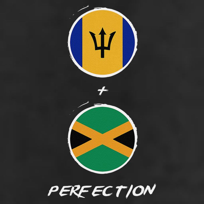 Barbados Jamaica Flag Perfection Bajan Barbadian Jamaican Adult Drive Performance Visor