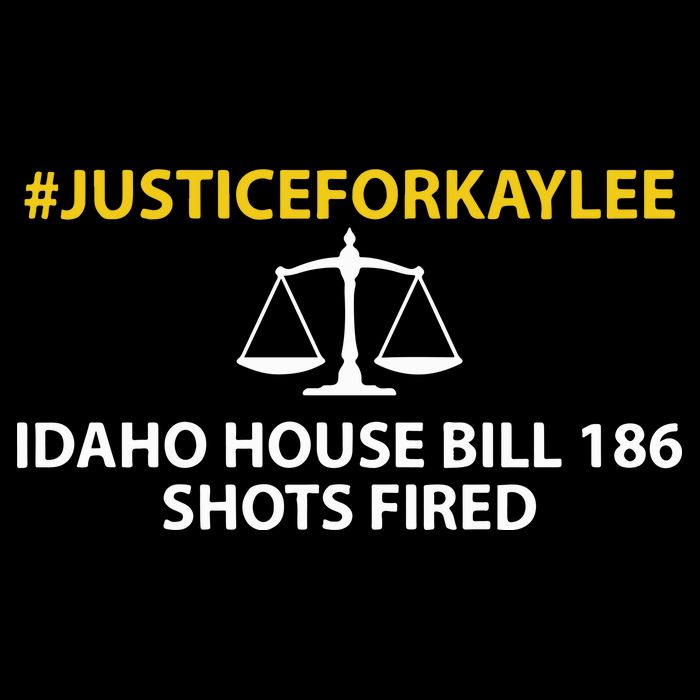 Bryankohberger #Justiceforkaylee Idaho House Bill 186 Shots Fired 16 in Basic Backpack
