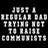 Just A Regular Dad Trying Not To Raise Communists Wool Snapback Cap