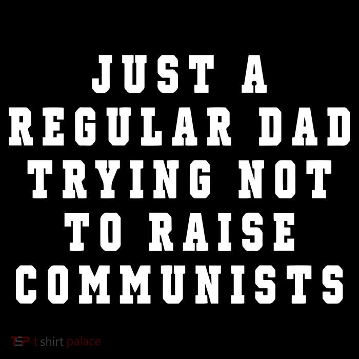 Just A Regular Dad Trying Not To Raise Communists Kids T-Shirt