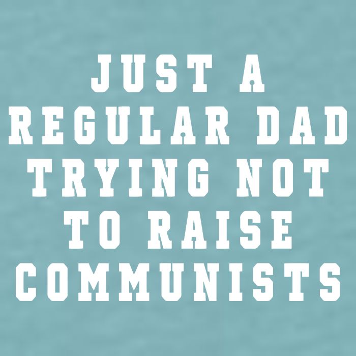 Just A Regular Dad Trying Not To Raise Communists Sueded Cloud Jersey T-Shirt