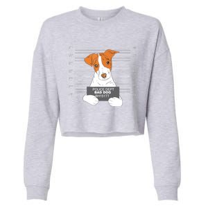 Bad Jack Russell Terrier Jail Prisoner Dog Police Dogs Cropped Pullover Crew