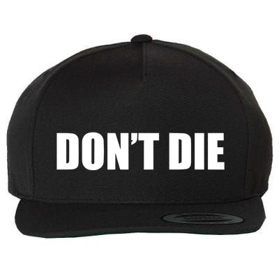 Bryan Johnson Wearing DonT Die Wool Snapback Cap