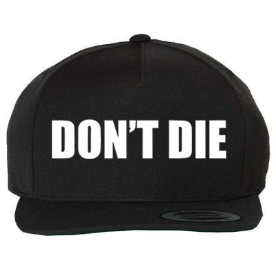 Bryan Johnson Wearing DonT Die Wool Snapback Cap