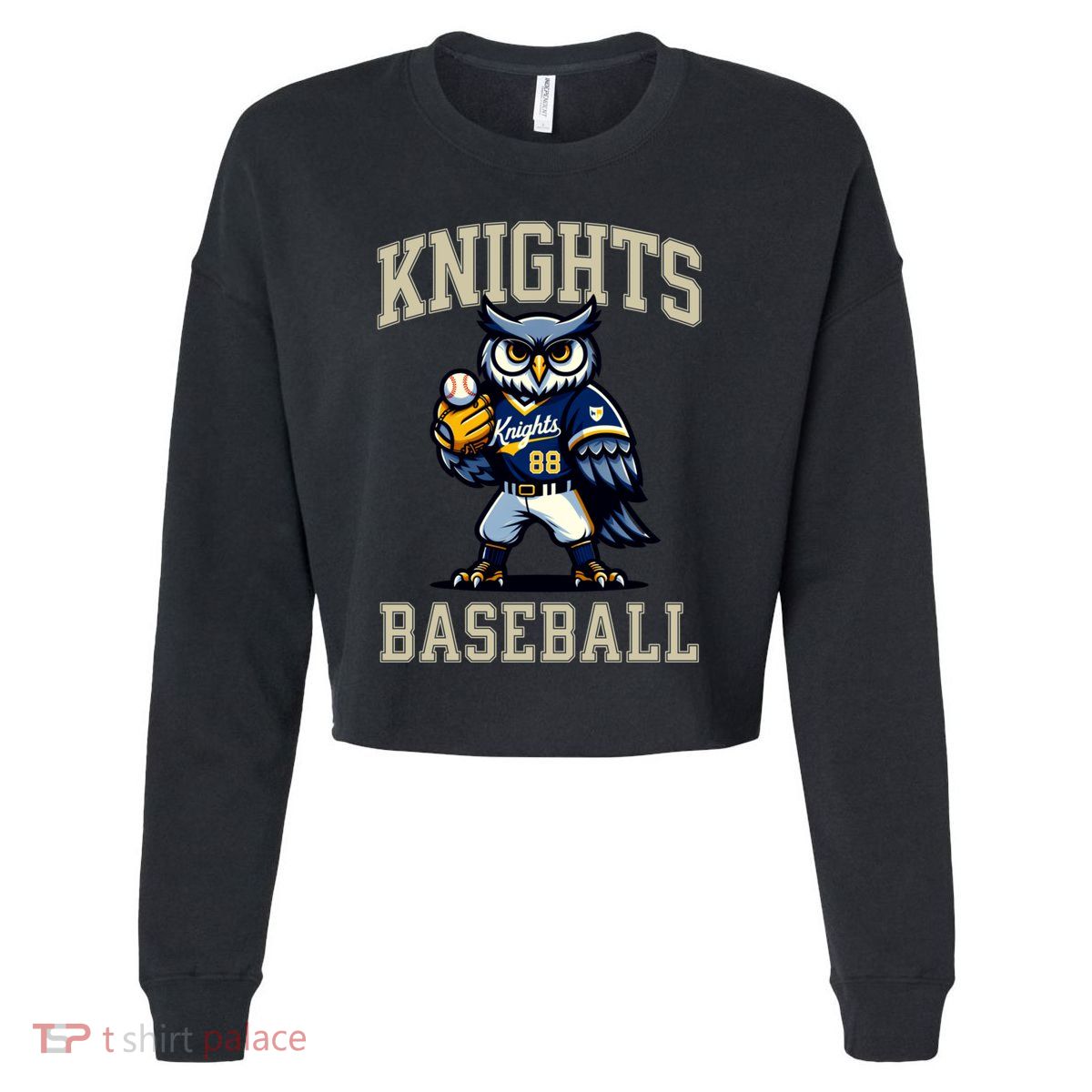 Blaine Knights 35+ Baseball Screech Owl #88 Cropped Pullover Crew