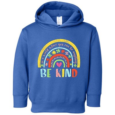 Be Kind Autism Awareness Acceptance Rainbow Choose Kindness Meaningful Gift Toddler Hoodie