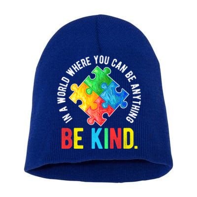 Be Kind Autism Awareness Cute Gift Short Acrylic Beanie