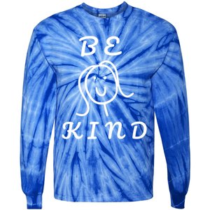 Be Kind Gift Tie-Dye Long Sleeve Shirt