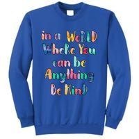 Be Kind In A World Where You Can Be Anything Autism Gift Sweatshirt