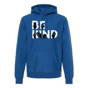 Be Kind Melanin Interpreter Sign Language African American Gift Premium Hoodie