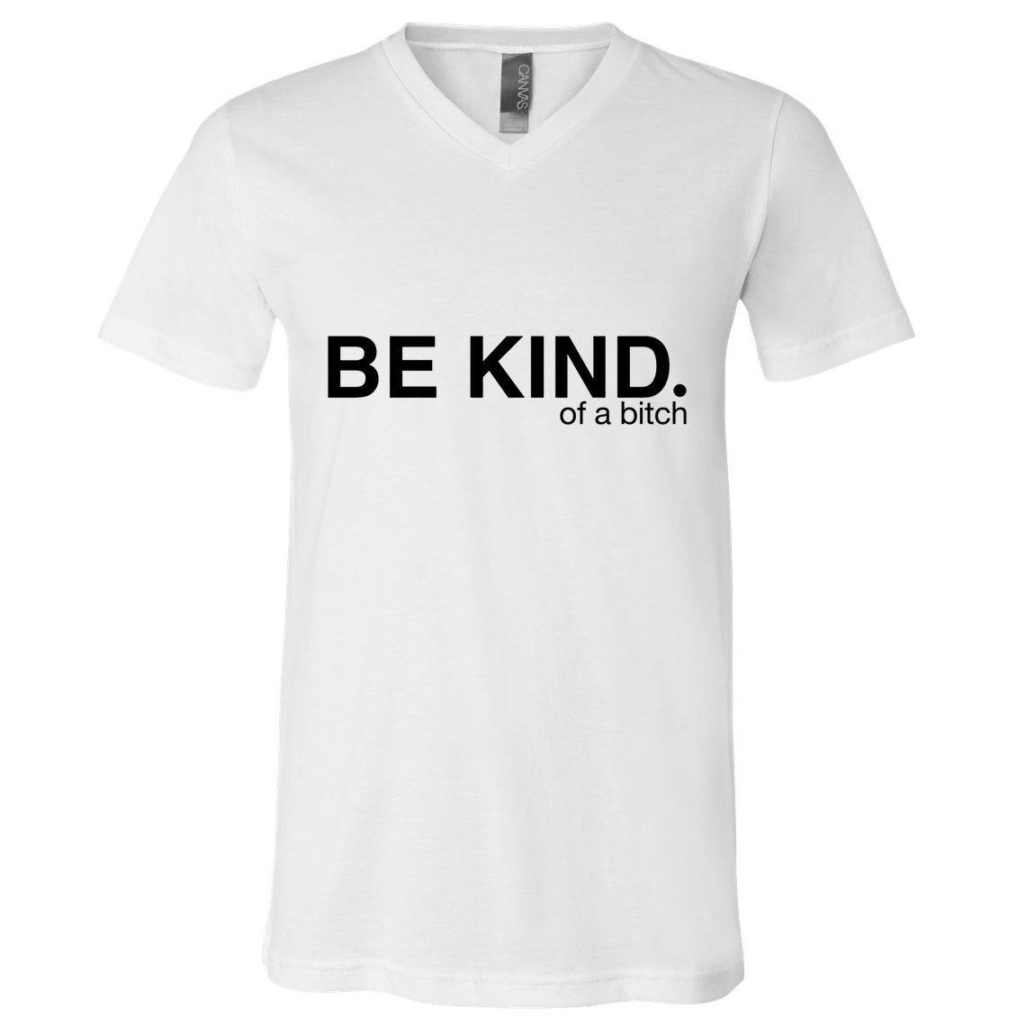 Be Kind Of A Bitch V-Neck T-Shirt