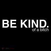 Be Kind Of A Bitch Funny Womens T-Shirt