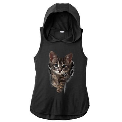 Brown Kitten Staring Cute TShirt Cats Gift Ladies PosiCharge Tri-Blend Wicking Draft Hoodie Tank