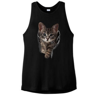 Brown Kitten Staring Cute TShirt Cats Gift Ladies PosiCharge Tri-Blend Wicking Tank