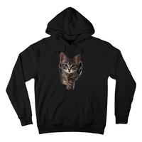 Brown Kitten Staring Cute TShirt Cats Gift Hoodie