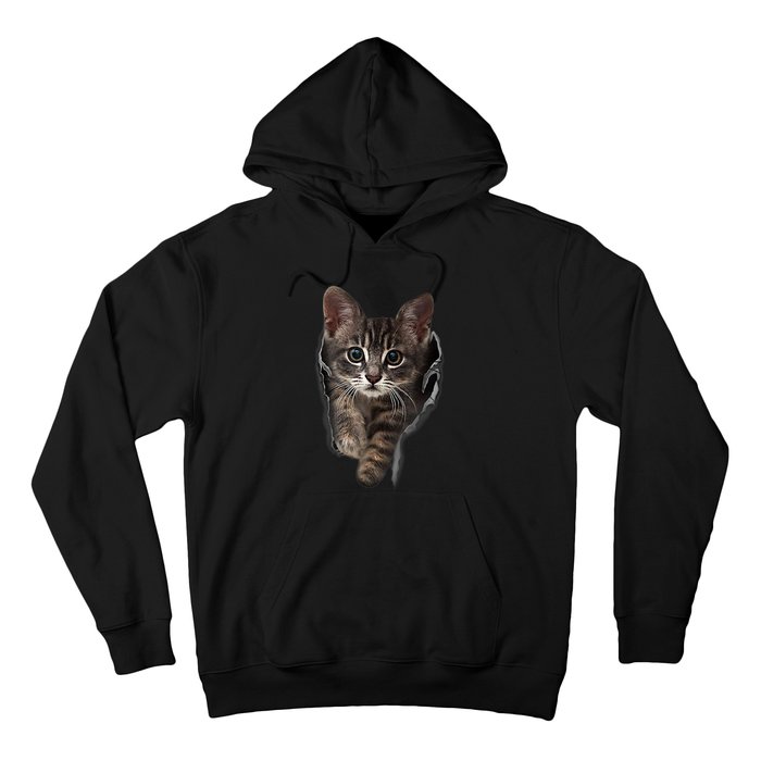 Brown Kitten Staring Cute TShirt Cats Gift Hoodie